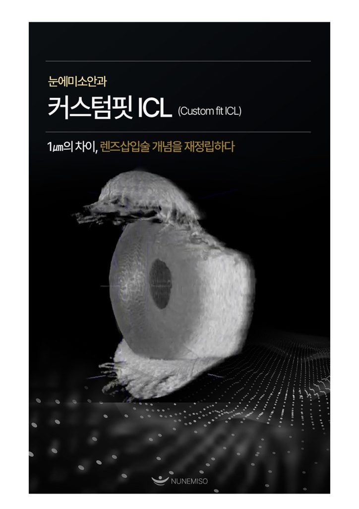 icl 페이지 이미지 (1)