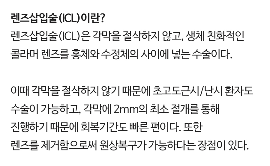 icl 페이지 이미지 (4)