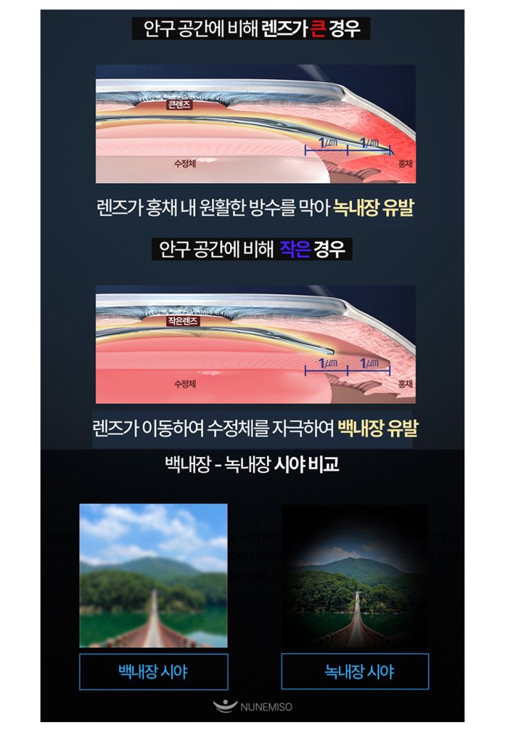 icl 페이지 이미지 (7)