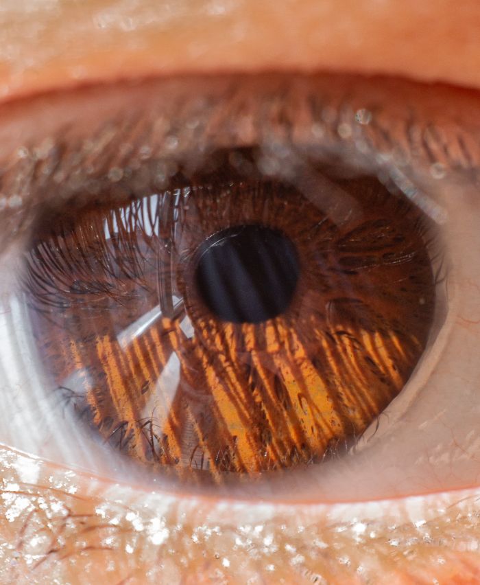 Mastering the First Impression: Your intriguing post title goes here Detailed macro shot of a human eye highlighting the intricate details of the brown iris and pupil.
